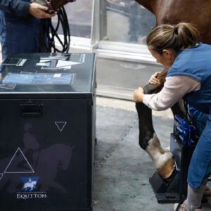 Sin t√≠tulo-5 [Recuperado]